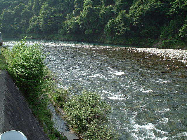 板取川の写真